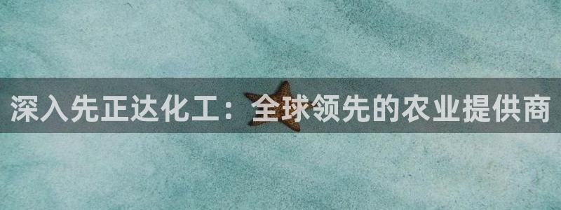 球盟会国际官网