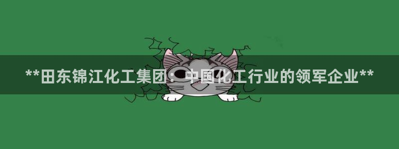 球盟会黑款吗知乎文章：**田东锦江化工集团：中国化工行业的领