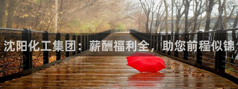 球盟会乐虎：沈阳化工集团：薪酬福利全，助您前程似锦