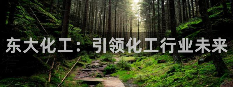 球盟会入口