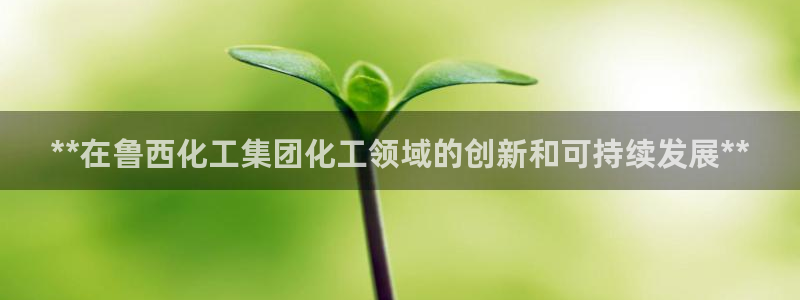 球盟会在线登录官网：**在鲁西化工集团化工领域的创新和可持续