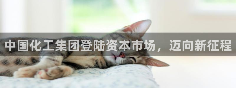 球盟会官方网站入口