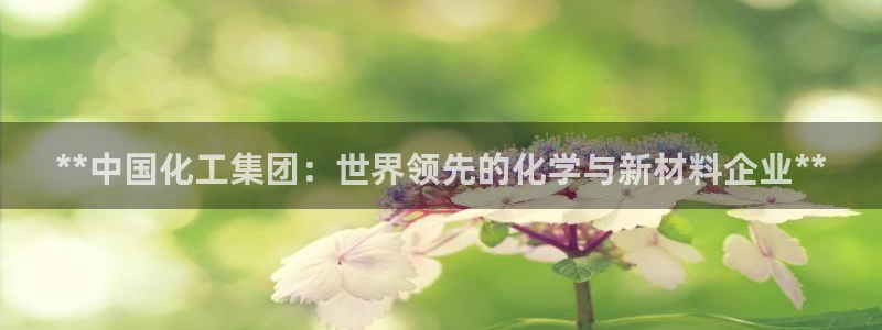 球盟会里面有打牌的嘛是真的吗