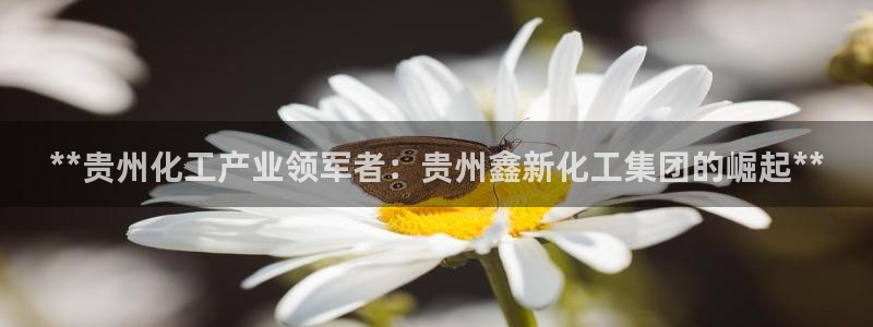 球盟会最新活动：**贵州化工产业领军者：贵州鑫新化工集团的崛