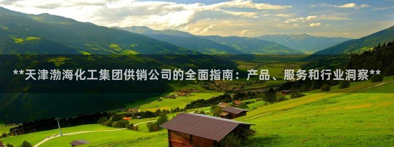 球盟会app网址多少号：**天津渤海化工集团供销公司的全面指