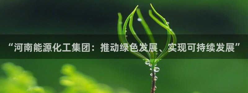 球盟会：“河南能源化工集团：推动绿色发展、实现可持续发展”