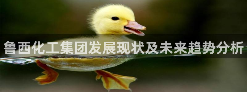 球盟会app网址多少：鲁西化工集团发展现状及未来趋势分析