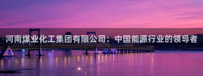 球盟会里面有打牌的嘛是真的吗：河南煤业化工集团有限公司：中国