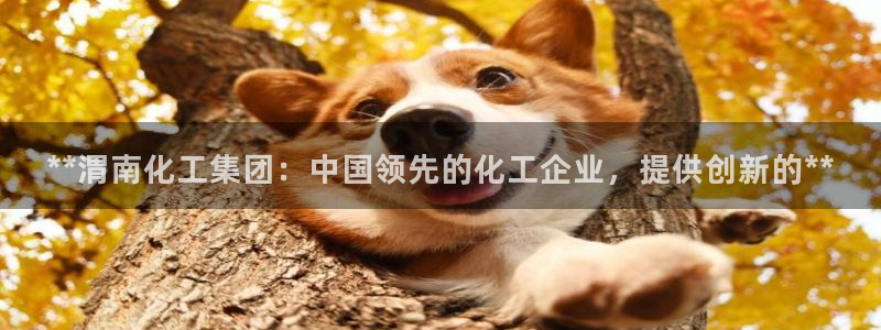 球盟会优惠码：**渭南化工集团：中国领先的化工企业，提供创新