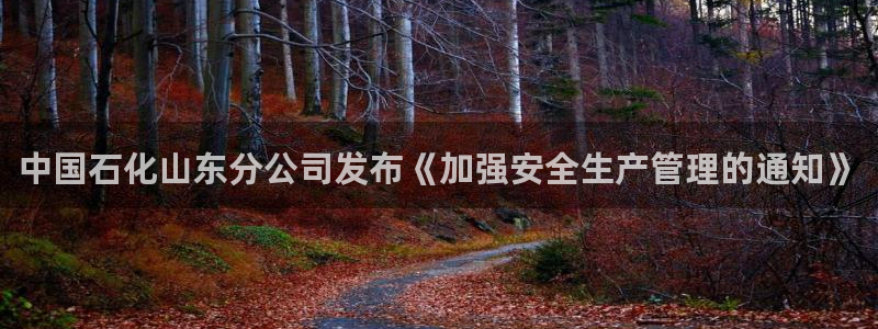 球盟会黑钱：中国石化山东分公司发布《加强安全生产管理的通知》