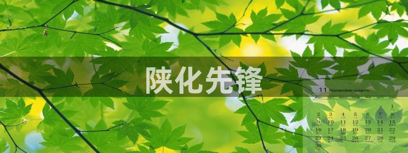 球盟会登陆中心：陕化先锋