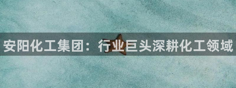 球盟会用的客服聊天是哪个软件