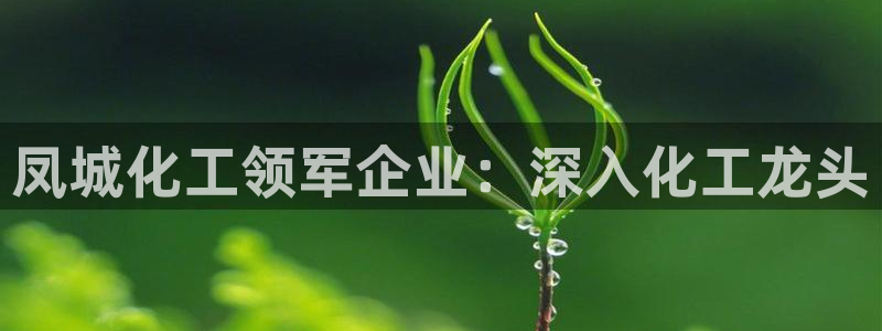 球盟会可以提现么是真的吗