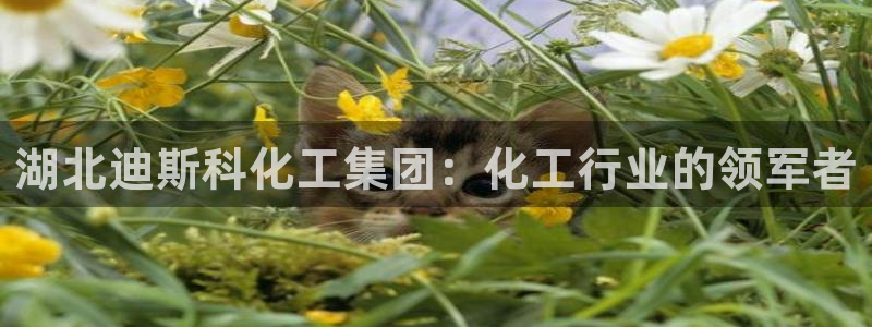 球盟会能退钱吗现在