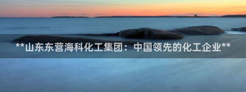 球盟会黑钱：**山东东营海科化工集团：中国领先的化工企业**
