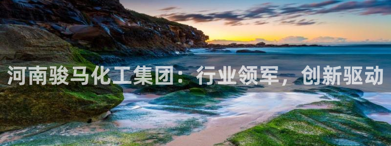 球盟会qm9