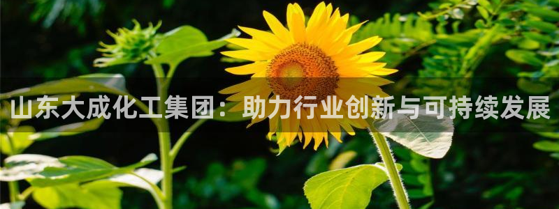 球盟会头号玩家是谁