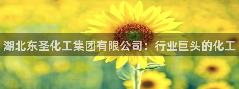 球盟会优惠券