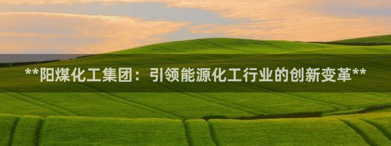 球盟会论坛：**阳煤化工集团：引领能源化工行业的创新变革**