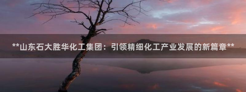 球盟会几点玩合适：**山东石大胜华化工集团：引领精细化工产业