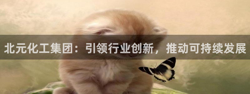 球盟会官网app下载：北元化工集团：引领行业创新，推动可持续