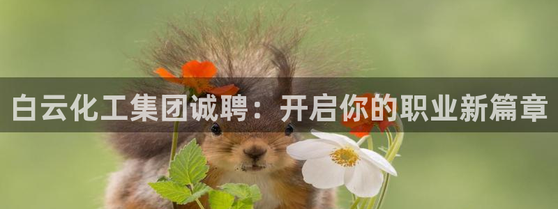 球盟会头号玩家