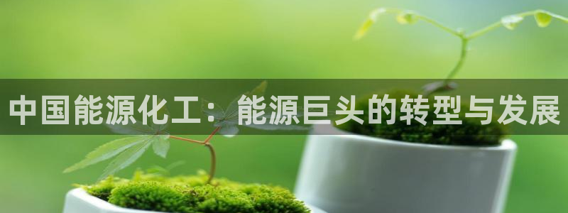 球盟会黑平台