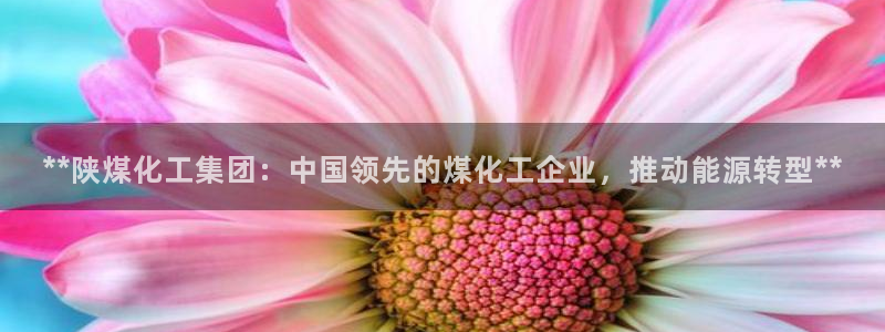 球盟会官方版下载地址：**陕煤化工集团：中国领先的煤化工企业