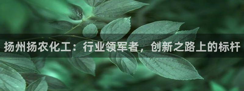 球盟会网页登录入口