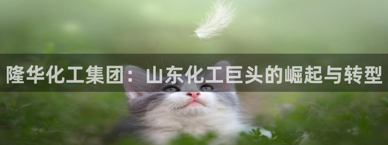球盟会综合app下载