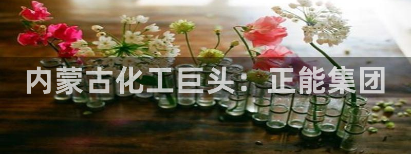 球盟会官方：内蒙古化工巨头：正能集团