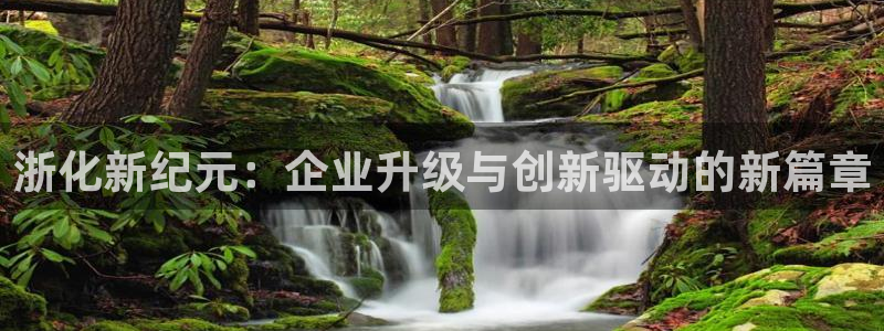 球盟会有限公司怎么样：浙化新纪元：企业升级与创新驱动的新篇章