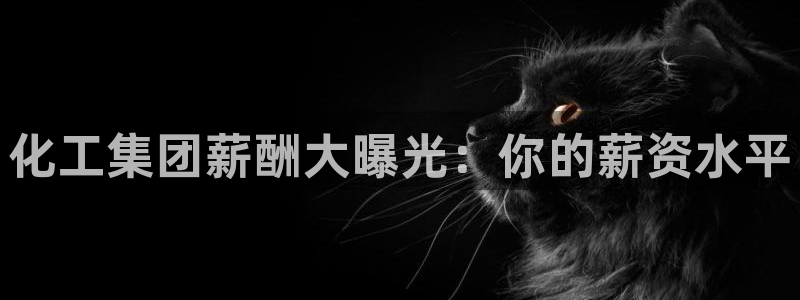 球盟会几点玩合适