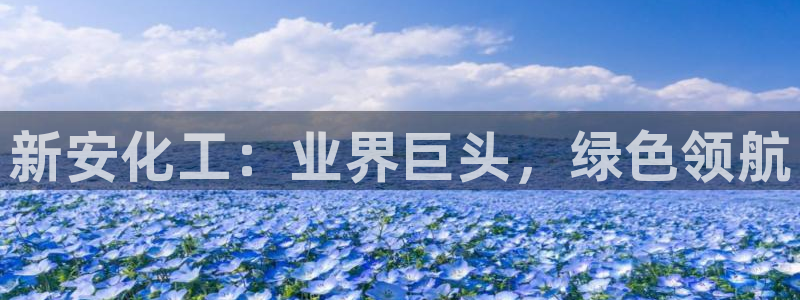 球盟会app网址多少：新安化工：业界巨头，绿色领航