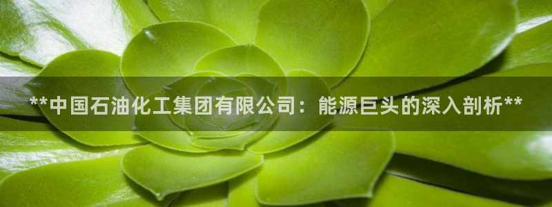 球盟会(中国)官方网站：**中国石油化工集团有限公司：能源巨