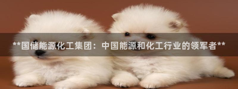 球盟会app手机登录：**国储能源化工集团：中国能源和化工行