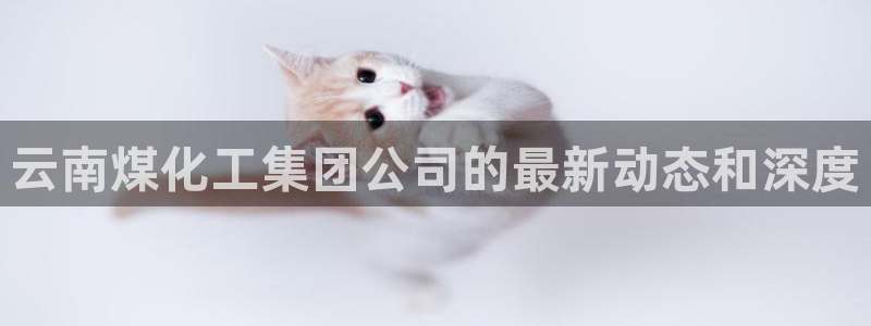 球盟会黑平台