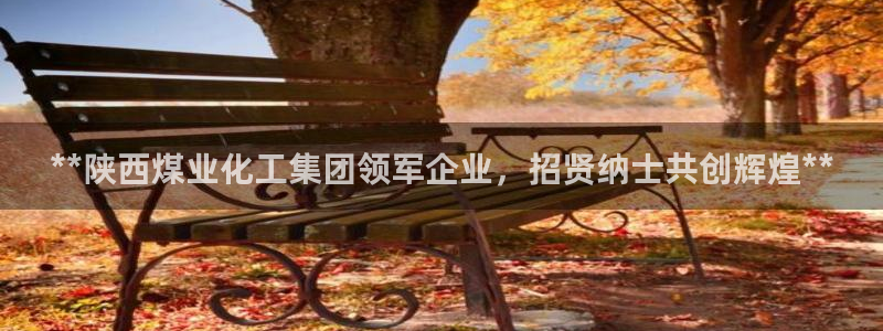 球盟会官方网页登录：**陕西煤业化工集团领军企业，招贤纳士共