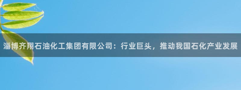 球盟会有没有黑单的人：淄博齐翔石油化工集团有限公司：行业巨头