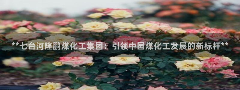 球盟会进不去：**七台河隆鹏煤化工集团：引领中国煤化工发展的