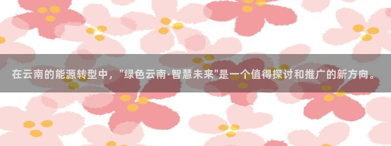 球盟会官网入口：在云南的能源转型中，\