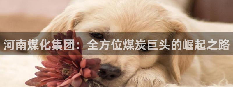 球盟会最新