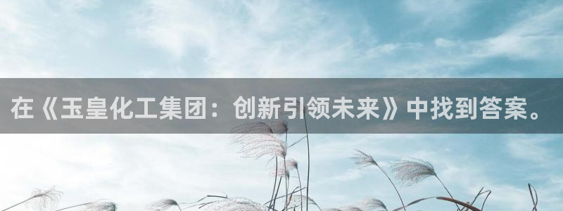 球盟会和中欧会的区别：在《玉皇化工集团：创新引领未来》中找到