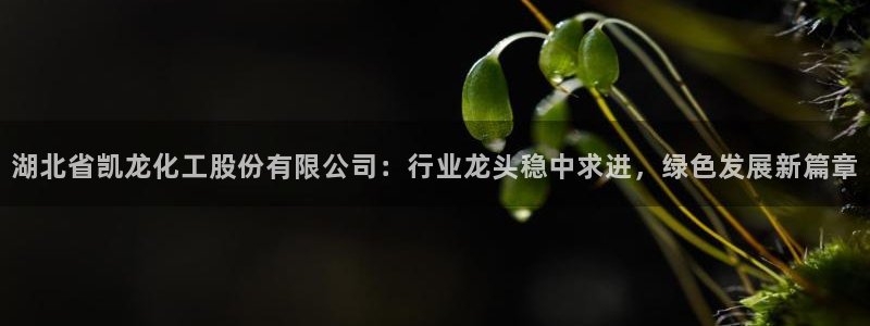 球盟会qmh - 球盟会官方网站：湖北省凯龙化工股份有限公司