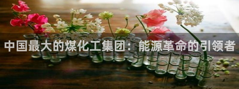 球盟会网页登录：中国最大的煤化工集团：能源革命的引领者