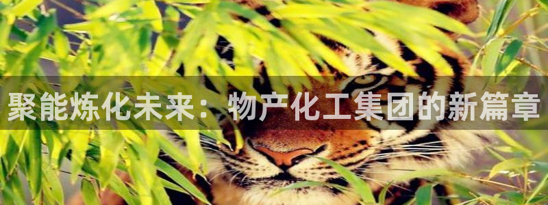 球盟会官网：聚能炼化未来：物产化工集团的新篇章