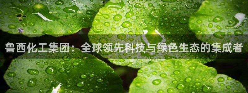 球盟会可以提现么：鲁西化工集团：全球领先科技与绿色生态的集成