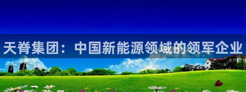 球盟会黑：天脊集团：中国新能源领域的领军企业