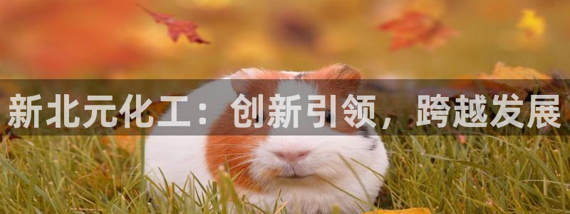 球盟会用的客服聊天是哪个软件：新北元化工：创新引领，跨越发展