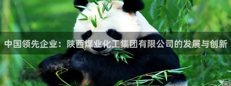 球盟会里面有打牌的嘛：中国领先企业：陕西煤业化工集团有限公司